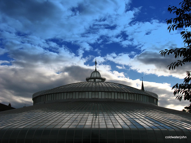 Kibble Palace roof at Glasgow's Botanic Gardens