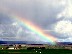 Rainbow, Whakamaru Area