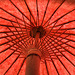 The Red Umbrella – United States Botanic Garden, Washington, D.C.