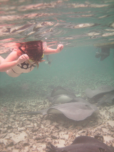 Jo And The Stingrays