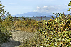 A Bend in the Path – Kitsilano Beach, Vancouver, British Columbia