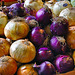 Onions – Atwater Market, Montréal, Québec