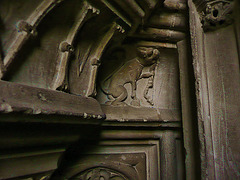 ely cathedral, dog