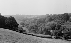 Cornish view