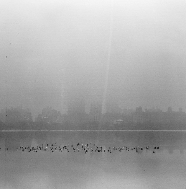 Mist across Central Park