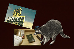 "rocky raccoon checked into his room...