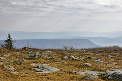 At the Edge of the Plateau – Dolly Sods, West Virginia