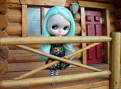Anemone at Pocahontas mini cabin