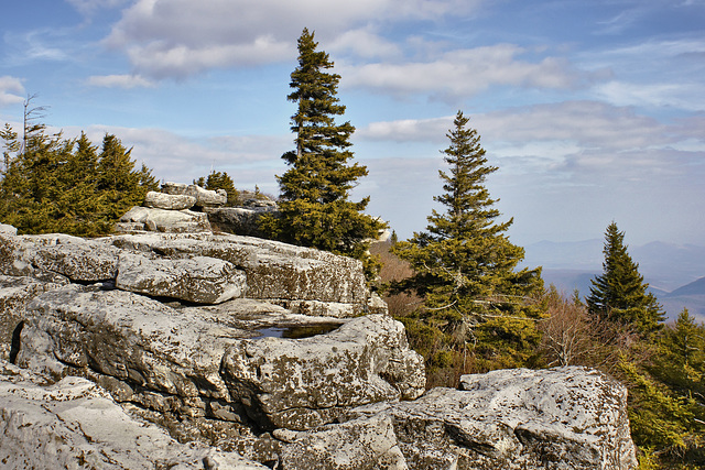 Bear Rocks #1 – Dolly Sods, West Virginia
