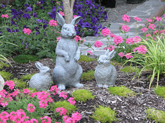 Welcome bunnies