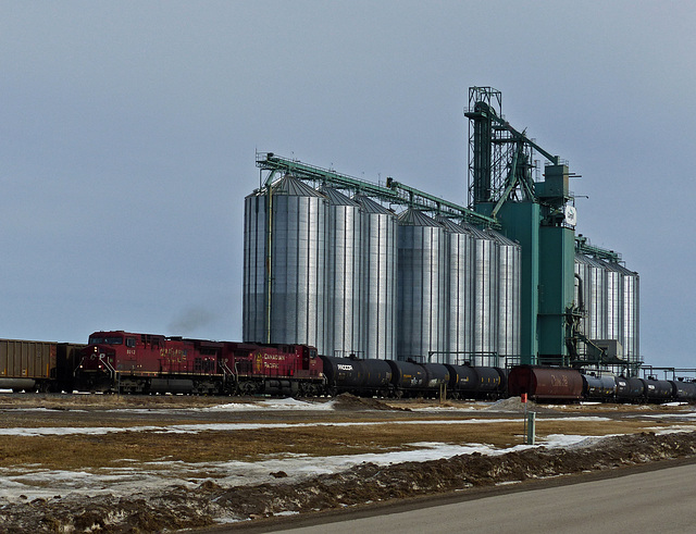 Grain elevator, Blackie, Alberta