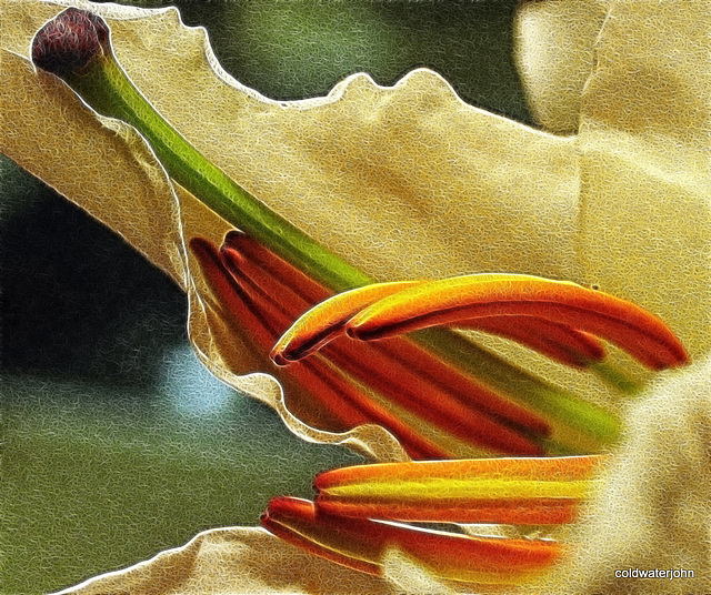 Fractalian Series - Flower detail