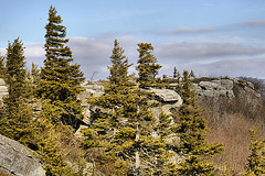 Bear Rocks #2 – Dolly Sods, West Virginia