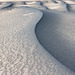 Saharan Sands