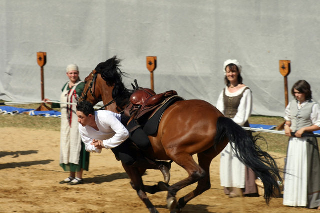 Equestrian display