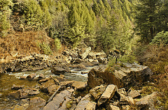 Downstream From the Falls – Blackwater Falls State Park, Davis, West Virginia