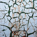 Cracked Paint Texture