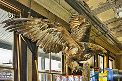 Golden Eagle – Harper's Old Country Store, Seneca Rocks, West Virginia