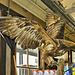 Golden Eagle – Harper's Old Country Store, Seneca Rocks, West Virginia