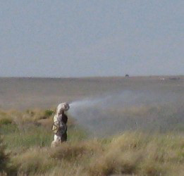 Bisti Wilderness 168a