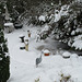Snowy garden