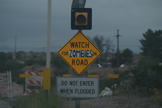Watch For Zombies On Road