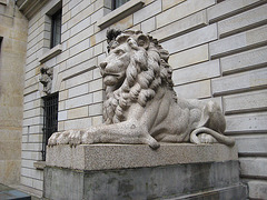 Löwe im Hof des Rathauses
