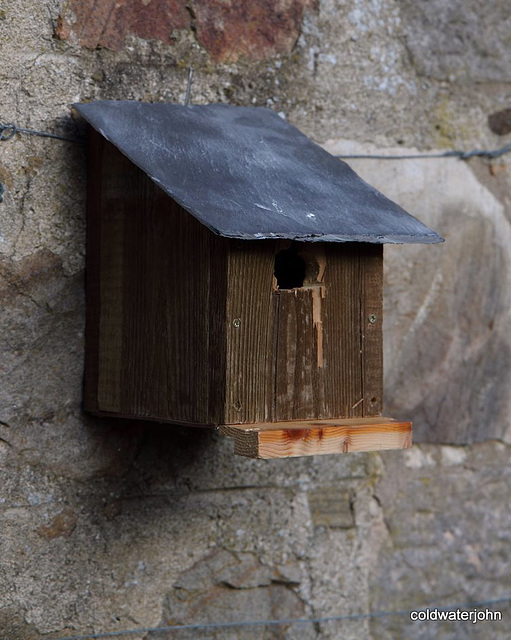 Single bedroom property to let, original Ballachulish slate roof: only attractive birds need apply...