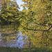 The Pond on Hickey Lane in Autumn – National Arboretum, Washington D.C