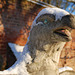 Snow-crested eagle