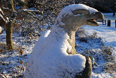 Snow-caped eagle