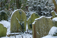 Snow on the headstones