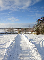Snowploughed paths again this morning 5234219081 o