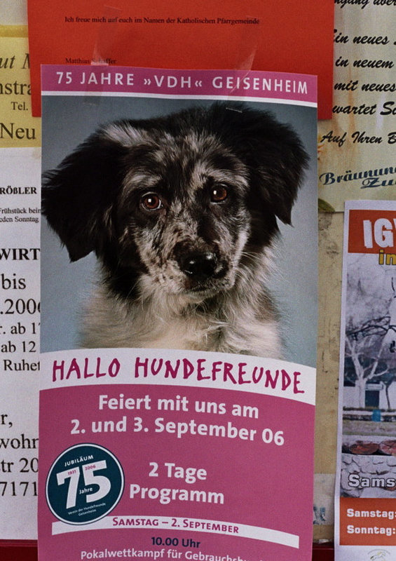Visiting the Rhine valley in Germany: Hallo Hundefreunde
