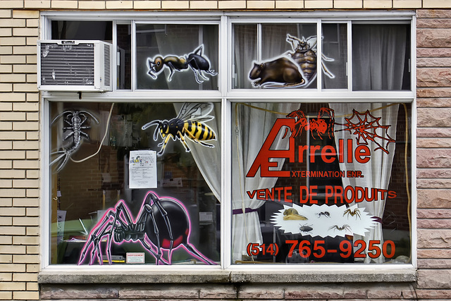 Arrelle Extermination – Galt and Laurendeau, Montréal, Québec