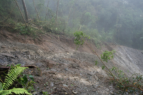Mud Slide