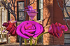 Roses from 58th Street, NYC – 21st Street at Q Street N.W., Washington D.C.