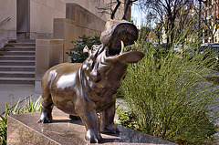 The Hippopotamus – H Street and 21st Street N.W., Washington D.C