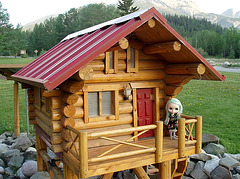 Anemone at Pocahontas mini cabin