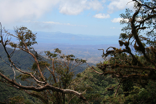 A View From The Trail