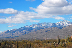 Santa Catalina Mountains - Tucson, Arizona