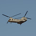HMM-165 Boeing Vertol CH-46 Sea Knight