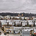 In the Early Morning Rain – Oakland Neighbourhood, Pittsburgh, Pennsylvania