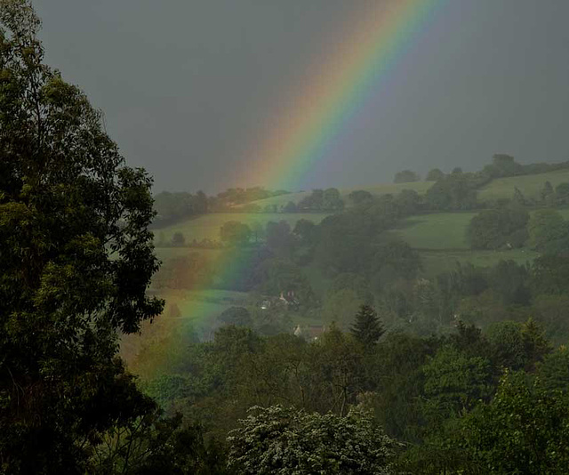 Dorset rainbow