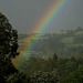 Dorset rainbow