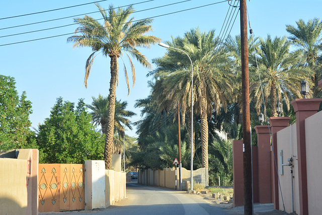 Oman 2013 – Street in Al Araqi