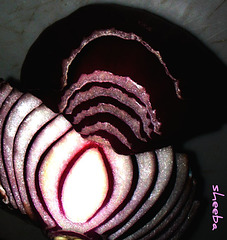 A purple onion..
