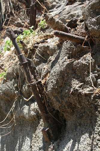 Firearms in Concrete