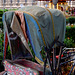 Rome Honeymoon Fuji XE-1 Rickshaw 1