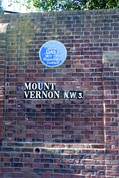 Mount Vernon NW3